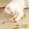 Elastic Feather Cat Ball Toy For Interactive Indoor Kitten And Puppy Chase Play 0