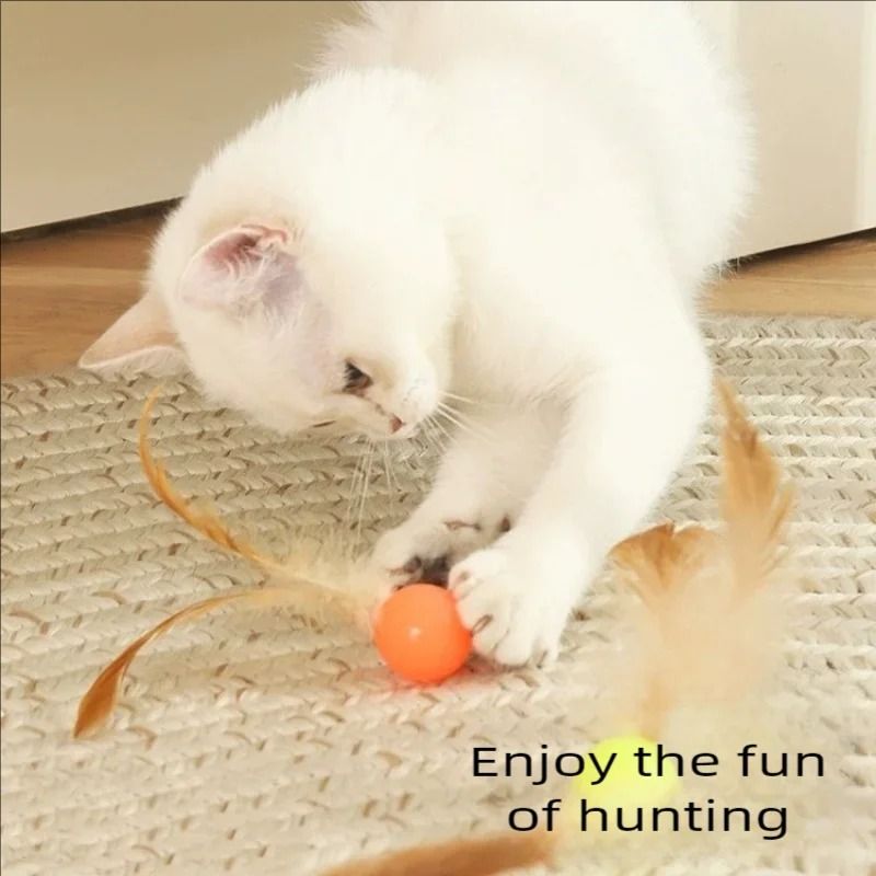Elastic Feather Cat Ball Toy For Interactive Indoor Kitten And Puppy Chase Play 0