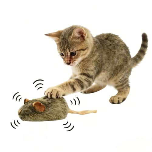 Squeaky Plush Mouse Cat Toy for Chewing Chasing and Indoor Kitten Play
