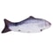 Rechargeable Flopping Fish Cat Toy For Interactive Moving Play And Indoor Exercise 5