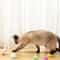 Soft Pom Pom Cat Toy Balls For Interactive Indoor Play 4