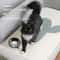 Trimmable Self Adhesive Cat Scratch Board Sofa Protector 9