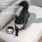 Trimmable Self Adhesive Cat Scratch Board Sofa Protector 9