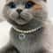 Adjustable Pearl Cat Collar Necklace For Kittens 15