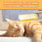 3 In 1 Steam Pet Grooming Brush For Cats And Dogs 19