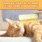 3 In 1 Steam Pet Grooming Brush For Cats And Dogs 19