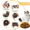 Magic Organ Cat Scratcher Board For Interactive Claw Play 2
