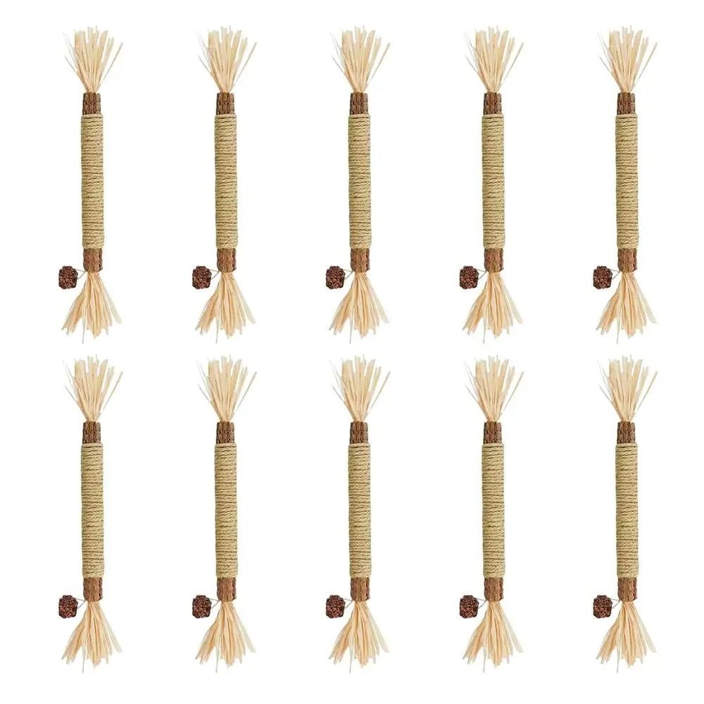 Cat Teeth Cleaning Chew Stick Toy With Cat Mint And Rope 3