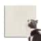 Self Adhesive Cat Scratching Mat Furniture Protector 3