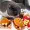 Cute Catnip Plush Cat Toy Food Shape Chew Toy For Kittens Indoor Play And Teeth 11
