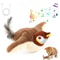 Rechargeable Flapping Bird Cat Toy With Catnip For Indoor Cats Interactive Play And Exercise 0