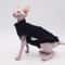 DUOMASUMI Summer Sphynx Cat Vest Stretch Cotton Cooling Top For Hairless Cats Daily Comfort Wear 7