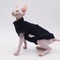 DUOMASUMI Summer Sphynx Cat Vest Stretch Cotton Cooling Top For Hairless Cats Daily Comfort Wear 7