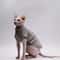 DUOMASUMI Summer Sphynx Cat Vest Stretch Cotton Cooling Top For Hairless Cats Daily Comfort Wear 6