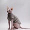 DUOMASUMI Summer Sphynx Cat Vest Stretch Cotton Cooling Top For Hairless Cats Daily Comfort Wear 6