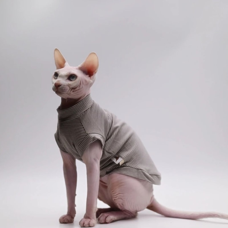 DUOMASUMI Summer Sphynx Cat Vest Stretch Cotton Cooling Top For Hairless Cats Daily Comfort Wear 6