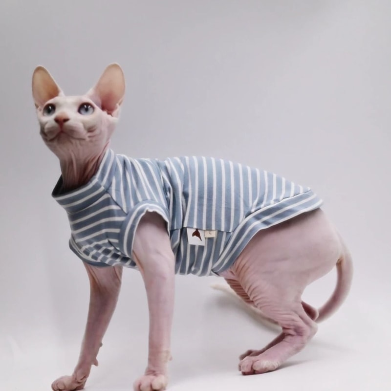 DUOMASUMI Summer Sphynx Cat Vest Stretch Cotton Cooling Top For Hairless Cats Daily Comfort Wear 3