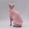DUOMASUMI Summer Sphynx Cat Vest Stretch Cotton Cooling Top For Hairless Cats Daily Comfort Wear 8