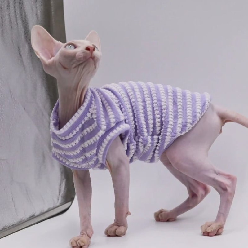 DUOMASUMI Summer Sphynx Cat Vest Stretch Cotton Cooling Top For Hairless Cats Daily Comfort Wear 0