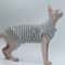 DUOMASUMI Summer Sphynx Cat Vest Stretch Cotton Cooling Top For Hairless Cats Daily Comfort Wear 12