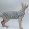 DUOMASUMI Summer Sphynx Cat Vest Stretch Cotton Cooling Top For Hairless Cats Daily Comfort Wear 12