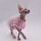 DUOMASUMI Summer Sphynx Cat Vest Stretch Cotton Cooling Top For Hairless Cats Daily Comfort Wear 13