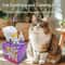 Pet Calming Pheromone Diffuser Set For Cats Dogs Stress Relief Comfort And Odorless Home Care 4