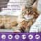 Pet Calming Pheromone Diffuser Set For Cats Dogs Stress Relief Comfort And Odorless Home Care 7