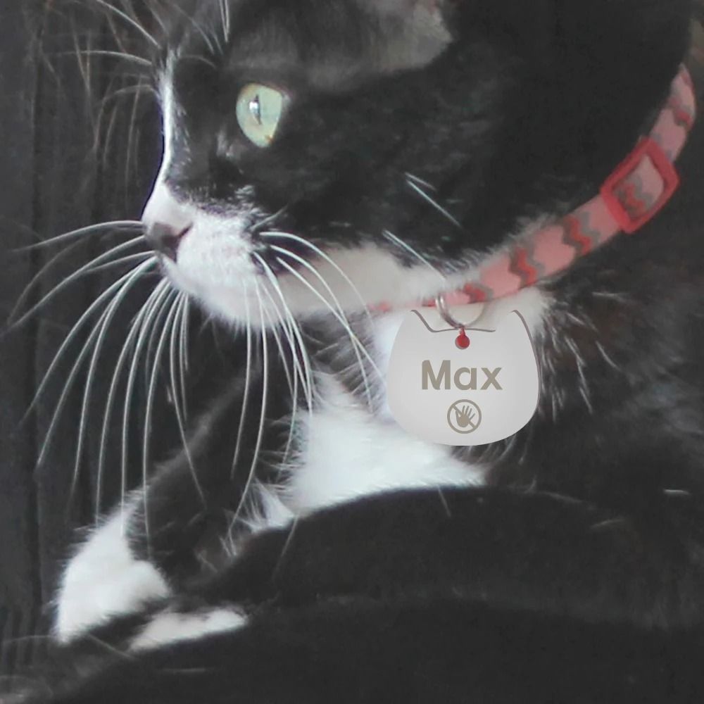 Custom Cat Face Pet ID Tag Stainless Steel Engraved Name Plate For Dogs Cats 0