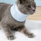 Washable Waterproof Cat Neck Brace Cone Collar For Kittens Puppies Wound Protection And Recovery 11