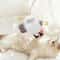 USB Rechargeable Chirping Bird Cat Toy Touch Activated Flapping Wings For Indoor Exercise Play 0