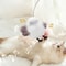 USB Rechargeable Chirping Bird Cat Toy Touch Activated Flapping Wings For Indoor Exercise Play 0