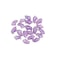 Soft Silicone Cat Nail Caps Set With Adhesive Glue For Claw Protection And Furniture Care 10