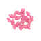 Soft Silicone Cat Nail Caps Set With Adhesive Glue For Claw Protection And Furniture Care 8