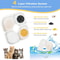 Catit PIXI Water Fountain Filter Replacement Set With Pump Hoses For Fresh Pet Hydration 3