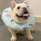 Adjustable Soft Cat Recovery Collar Protective Cone For Dogs Wound Healing After Surgery Care 21
