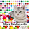 Colorful Plush Cat Toy Balls Bulk Pack For Interactive Training Chewing Chasing Indoor Play Fun 1