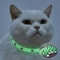 Glow In The Dark Cat Collar Adjustable Luminous Pet Collar With Cute Paw Charm 0