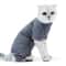 Soft Cotton Cat Recovery Suit Anti Licking Post Surgery Clothes For Warm Comfortable Healing Care 3