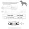 Personalized Reflective Cat Collar With Engraved Nameplate Bell For Kittens Puppies Pets 26