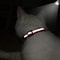 Personalized Reflective Cat Collar With Engraved Nameplate Bell For Kittens Puppies Pets 25