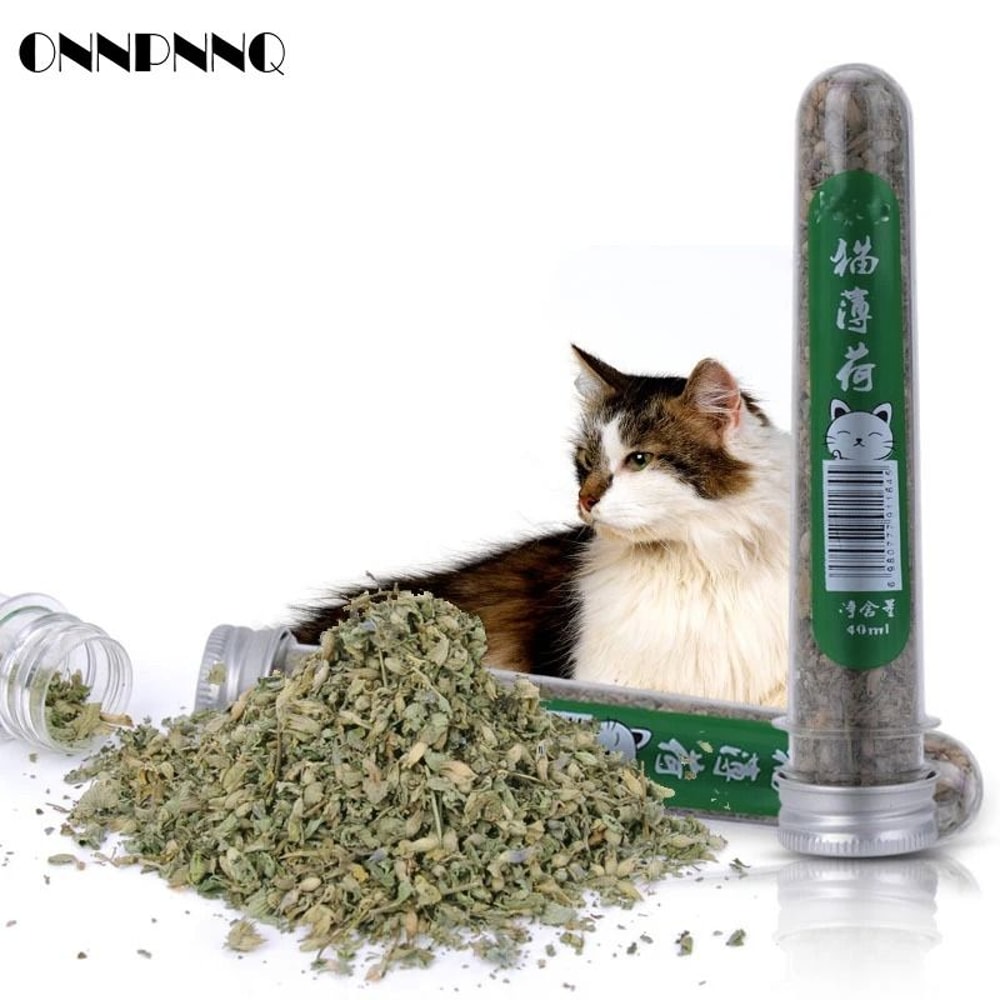 Natural Catnip Powder Tube For Cats Menthol Flavor Treat Toy And Appetite Support 0