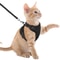 Adjustable Reflective Cat Harness And Leash Set Escape Proof Mesh Vest For Small Pets 1