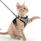 Adjustable Reflective Cat Harness And Leash Set Escape Proof Mesh Vest For Small Pets 3