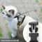 Adjustable Reflective Cat Harness And Leash Set Escape Proof Mesh Vest For Small Pets 5