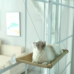 hanging cat hammock window seat bed with climbing frame for sunny indoor lounging