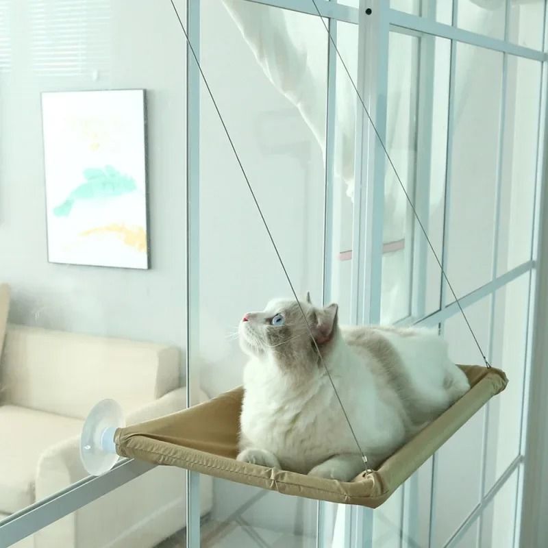 Hanging Cat Hammock Window Seat Bed With Climbing Frame For Sunny Indoor Lounging 0