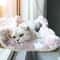 Hanging Cat Hammock Window Seat Bed With Climbing Frame For Sunny Indoor Lounging 7
