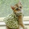 Romantic Floral Pet Summer Dress For Dogs Cats Birthday Wedding Party Outfit 6