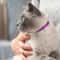Cat Dog Collar Bells 6 Pack Copper Pet Pendant Bells With Key Rings 3